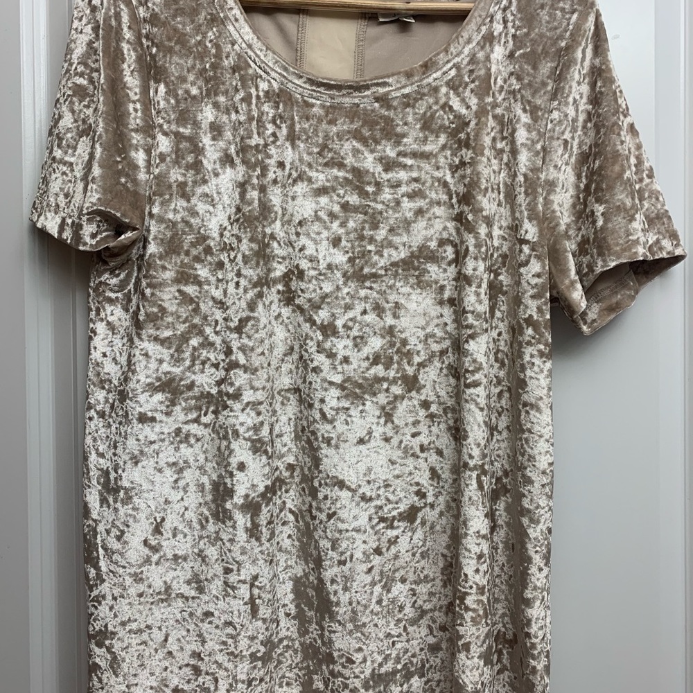 Velvet top - Picture 2 of 3